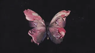 Before You Exit Silence Official Audio 