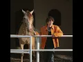 Nadie Te Extraña - Xavi