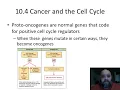 Download Lagu Cell Molec Lecture 10.4