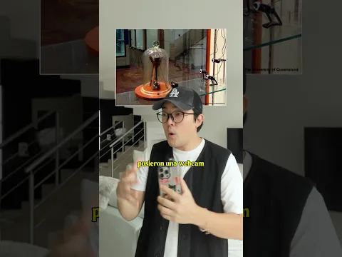 El experimento más aburrido del mundo 🥱