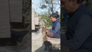 Gus Rohman Bayangkaki692025 