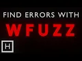 Fuzzing Websites with WFuzz The Ultimate Guide