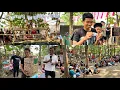 Download Lagu LOMBA DIMULAI - YOGI ANAKE MAK NGATINI KET WINGI PANEN HADIAH TEROSSS 😍🥳✨