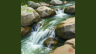 فلوت در مه دندنها