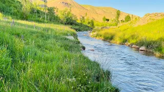 آهنگ جدید بار کج هرگز به منزل نرسیده از سجاد نوری سبسكرايب بادغیسی غوری تار محلی  آهنگ جدید بار کج هرگز به منزل نرسیده از سجاد نوری سبسكرايب بادغیسی غوری تار محلی