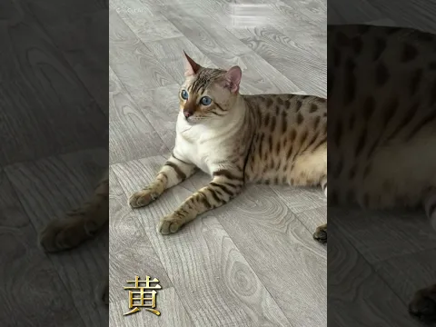 😍😍😍😍😍😍😍