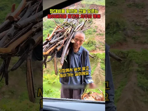 버섯팔러 나왔어요, 장대비를 맞으며 산을 오르는 할아버지를 발견한 차주의 행동