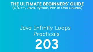 203 Java Infinity Loop Practical