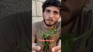 اكبر شكلاتة دبي بالعالم 