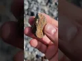 Learning to find process earth pigments