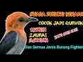 Download Lagu Masteran Kemade Full besetan Cocok Jadi Gurvok MP3