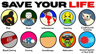 The Strangest Things Your Body Does to Keep You Alive