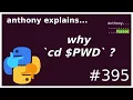 why did I run cd PWD beginner - intermediate anthony explains