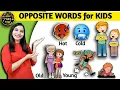 Opposite words for kids Antonyms words WATRstar