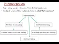 Polymorphism - Concept Method Signature Overloading