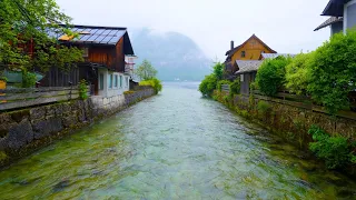 استرخاء وتأمل مع أجمل مناظر الطبيعة وأصواتها الهادئة The Most Beautiful Natural Scenery 