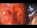 Do you want some water Original full