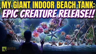I Released Creatures Into My NEW Giant Lagoon Vivarium