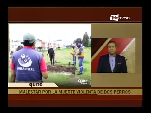 Desde la Mitad del Mundo 20-10-2021