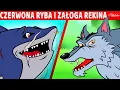 Lagu Czerwona Ryba i Załoga Rekina \u0026 Wilk i Siedem Koźlątek \u0026 Stary Sułtan | Bajki po Polsku | Kreskówka