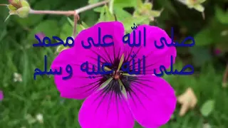 Noureddine Khourchid صلى الله على محمد نور الدين خورشيد Islamic Arabic Nasheed 