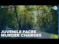 Indiana juvenile faces murder charges in connection to stabbing deaths