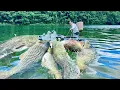 Download Lagu Traditional Fishing Skills - Single Mother Catches Giant Fish Using Rubber Buoy