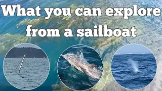 S1, Ep11 San Diego Sailing Adventures