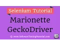 Marionette GeckDriver - Launching Firefox In Selenium 3