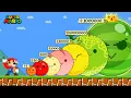 Mario vs Suika All Fruits Before and After Evolution
