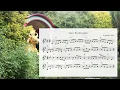 Download Lagu Irish Fiddle Jigs - The Inspiration Jig, Leave the door open Jig, Tenor Jig