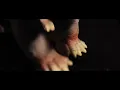 Crispy脆樂團 -《煙火(Crispy)+人間煙火(Hebe)》Remix |黑暗的盡頭Session