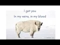 The White Buffalo - I Got You ft Audra Mae [karaoke]