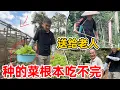 Download Lagu 蔬菜大丰收根本吃不完，送村里找我们麻烦的老人吃，我相信 日久见人心