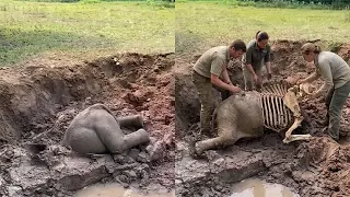 ПІЛГЕ НЕГЕ ЕШКІМ КЕЛМЕДІ? 😲