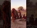 Lagu The oldest people in the world | The Khoisan of Southern Africa