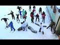 BEST HARLEM SHAKE COMPILATION ! (BEST VIDEOS)