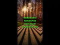 Download Lagu Renungan Kehidupan #1 KH. Zaenuddin MZ #shorts #shortvideo #zaenudinmz #khzaenudinmz