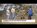 Strong storm winds blow down trees and power lines in Jasper County