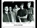 Gin Blossoms - Follow You Down