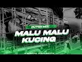 Lagu DUTCH MIX || MALU KUCING || 2026