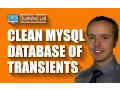 Database Cleaner Plugin That Removes Expired Transients WP Learning Lab