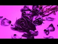 Chuy Montana - "Perdon Mama" (SLOWED_THROWED)