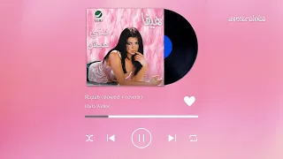 Haifa Wehbe Ragab Slowed Reverb 