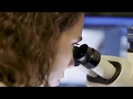 A Day in the Benavente Lab