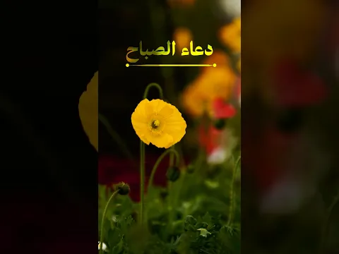 دعاء الصباح صباح التوبة وتجديد الرجاء..