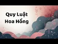 Lagu Quy Luật Hoa Hồng