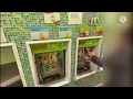 Sweet frog tour in New York Binghamton Areesha Life - frog