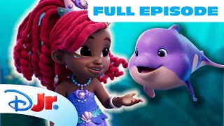 Disney Jr.’s Ariel Full Episode "Enchanted Dolphin Cove Part 1 & 2"🧜🏾‍♀️🎬 | Disney Jr.