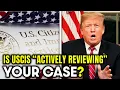 Is USCIS Actively Reviewing Your Case What It Really Means Immigration News